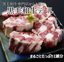 【ふるさと納税】【黒毛和牛専門店直送】黒毛和牛テール 1本　約1kg　（国産 牛肉 希少部位 ビーフシチュー）