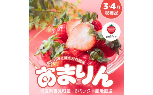 【3～4月収穫分】埼玉県吉見町 吉見いちご【あまりん】2パック｜ブランドいちご 産地直送