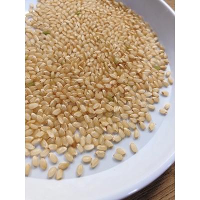 ふるさと納税 長浜市 【令和6年産】滋賀県長浜市　プチプチ食感!特別栽培”ミルキークイーン”　5K×2　玄米 |  | 03