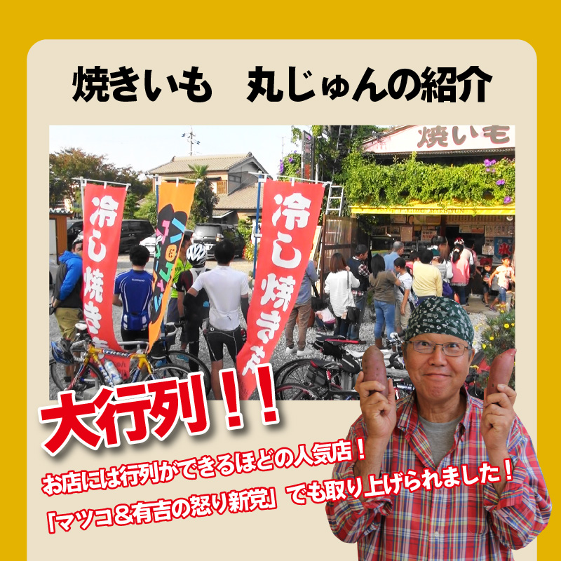 焼き芋 蜜たっぷり！冷やし焼き芋 ひえひえ君 3種食べ比べ 約1kg 芋スイーツ　H047-034