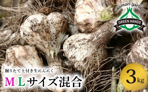 【2026年6月下旬発送開始】掘りたて 生 にんにく 青森県産 Ｍ Ｌ サイズ混合 ３kg　（土つき）【 ガーリック ニンニク 大蒜 五所川原 生にんにく 】