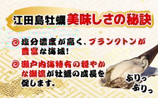 3月6日(木)着】特選 牡蠣三昧!【生牡蠣】広島牡蠣 殻付き 3kg 3月6日(木)着】特選 牡蠣三昧!【生牡蠣】広島牡蠣 殻付き 3kg