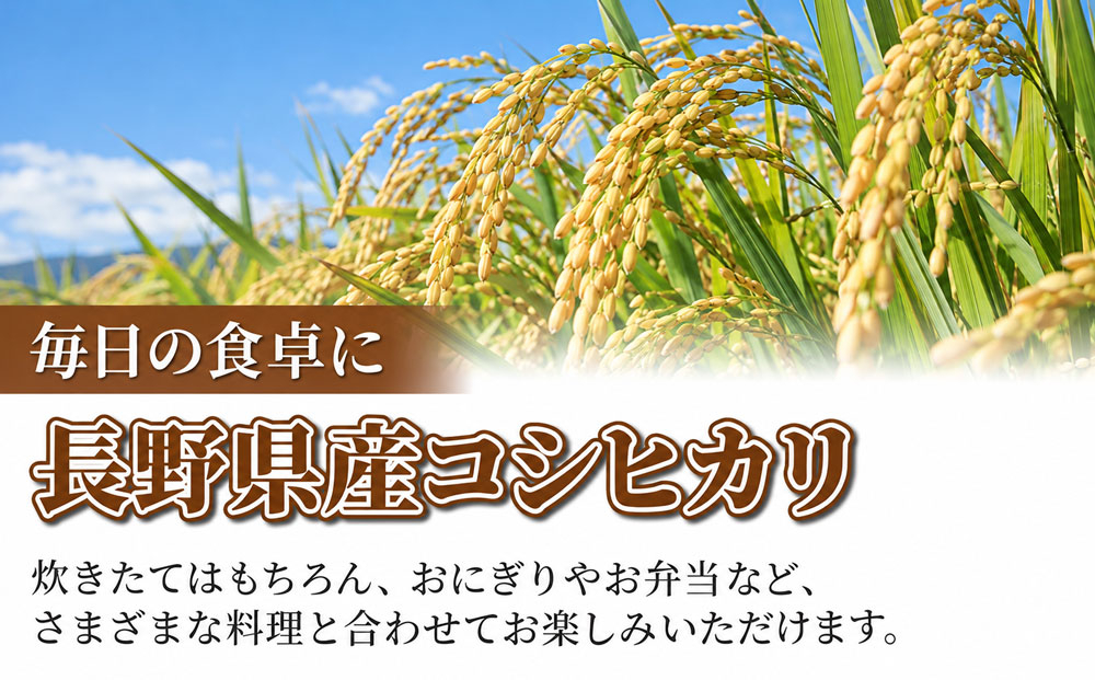【令和8年産 新米】長野県産コシヒカリ白米 10kg |太陽と大地