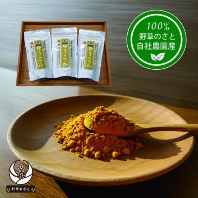 ふるさと納税 山梨県 粉末秋うこん100g〔3パック〕