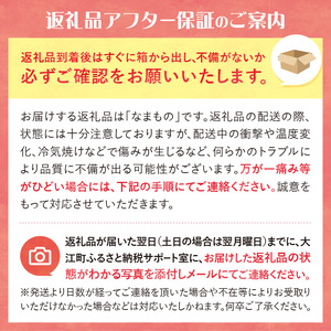 《先行予約》朝採りホワイトショコラ約3kg・A品2L・7～9本程度 【2024年10月上旬頃～発送予定】【山形とうもろこし・大江町産・明石農園】 027-005