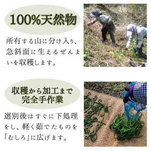 100%天然物 特上 干しぜんまい 120g 令和6年産 新物【乾燥ぜんまい 干しぜんまい 天日干し 手もみ 乾物 新潟県 糸魚川市 山菜 ゼンマイ 能生 完全手作業 完全天日乾燥 笠原建設 煮物 炒