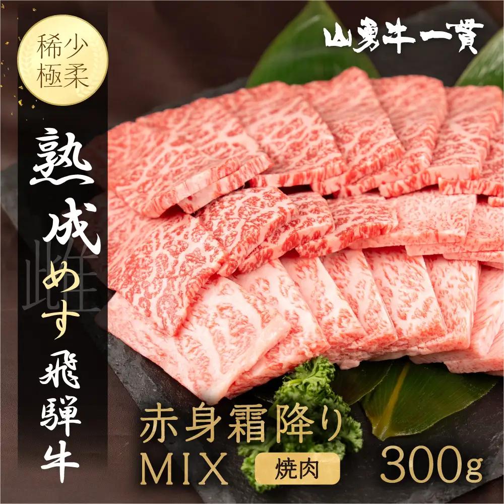 熟成めす 飛騨牛 山勇牛 焼肉 赤身 霜降り MIX 300g 飛騨牛 焼肉 赤身 霜降り