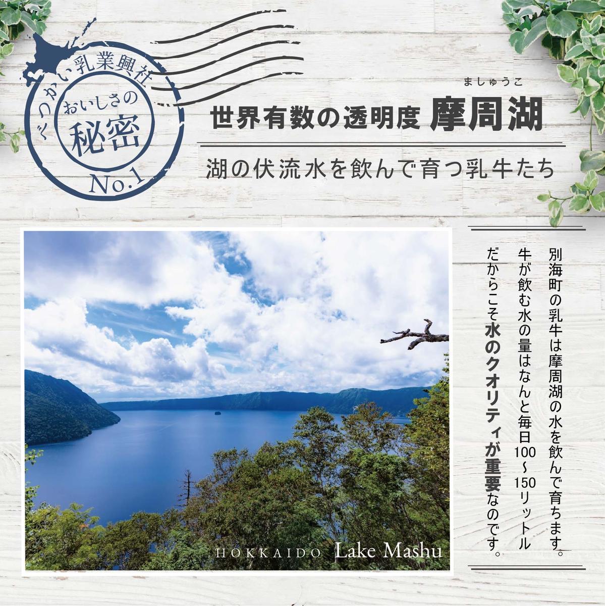 べつかいのアイスクリーム屋さんプレミアムミルクリッチ12個（ミルク/めろん各6個）(AP-02)（ 北海道アイス 北海道産アイス アイス アイススイーツ アイスクリーム 北海道産アイスクリーム 道産ア