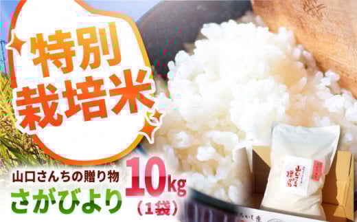 【令和7年度産】特別栽培米 さがびより 10kg 白米～山口さんちの贈り物～【y'scompany】米 10kg  精米 特A 特A評価  佐賀県産 国産米 コメ こめ お米 白米 ブランド米 精白米 おにぎり さがびより 九州 佐賀県 白石町 人気 おすすめ 白石  令和8年発送[IAS006]