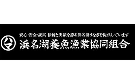 うなぎ 長蒲焼 2枚入 鰻 ウナギ たれ おすすめ うなぎ