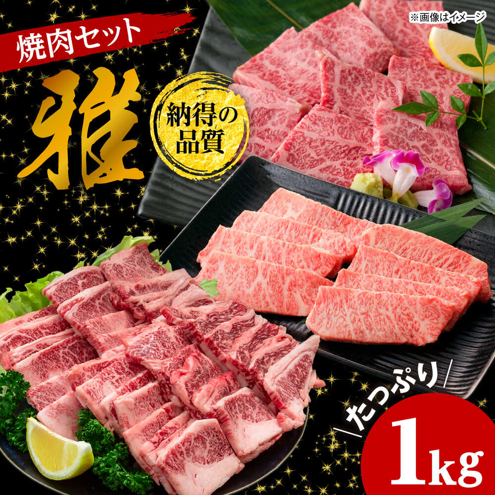 【ふるさと納税】焼肉セット 味付き 雅 1kg / 肉 牛肉 牛 焼肉 焼き肉 やきにく BBQ バーベキュー キャンプ アウトドア 鉄板焼き セット 詰め合わせ 食べ比べ 国産 冷凍 小分け ハラミ カルビ バラ バラ肉 上カルビ 1kg 味付き タレ / 大阪府藤井寺市/株式会社 松屋[BLCD001]