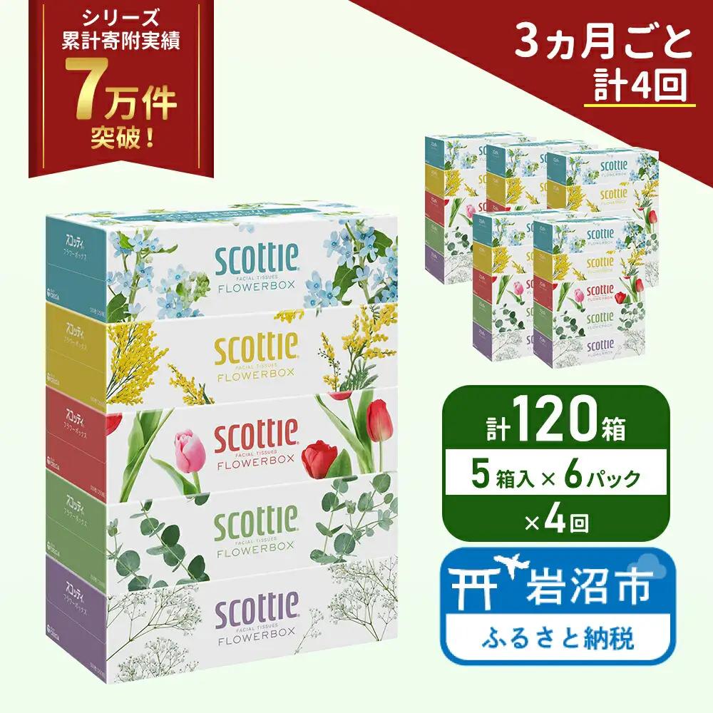 定期便 ティッシュ スコッティ フラワーボックス 120箱 ( 5箱 × 6パック )《 3ヶ月ごと 計  4 回》 
