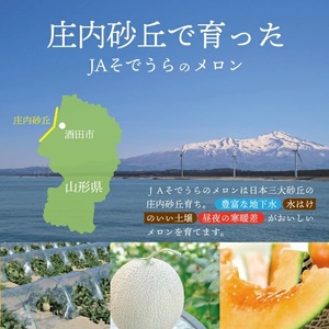 SZ0325　庄内赤肉メロン「しっかり娘」　約3.4kg(赤肉/2玉入/つる付き)