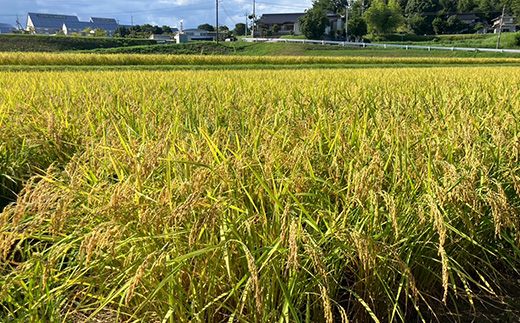 【先行受付】岡山県産『コシヒカリ』　[5kg×1袋(5kg)]