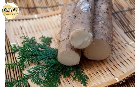 訳ありねばりっこ　1.5kg【数量限定】_T2600293