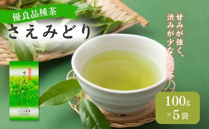 
                  お茶 いしだ茶屋 さえみどり 100g 5袋 煎茶 茶葉
                