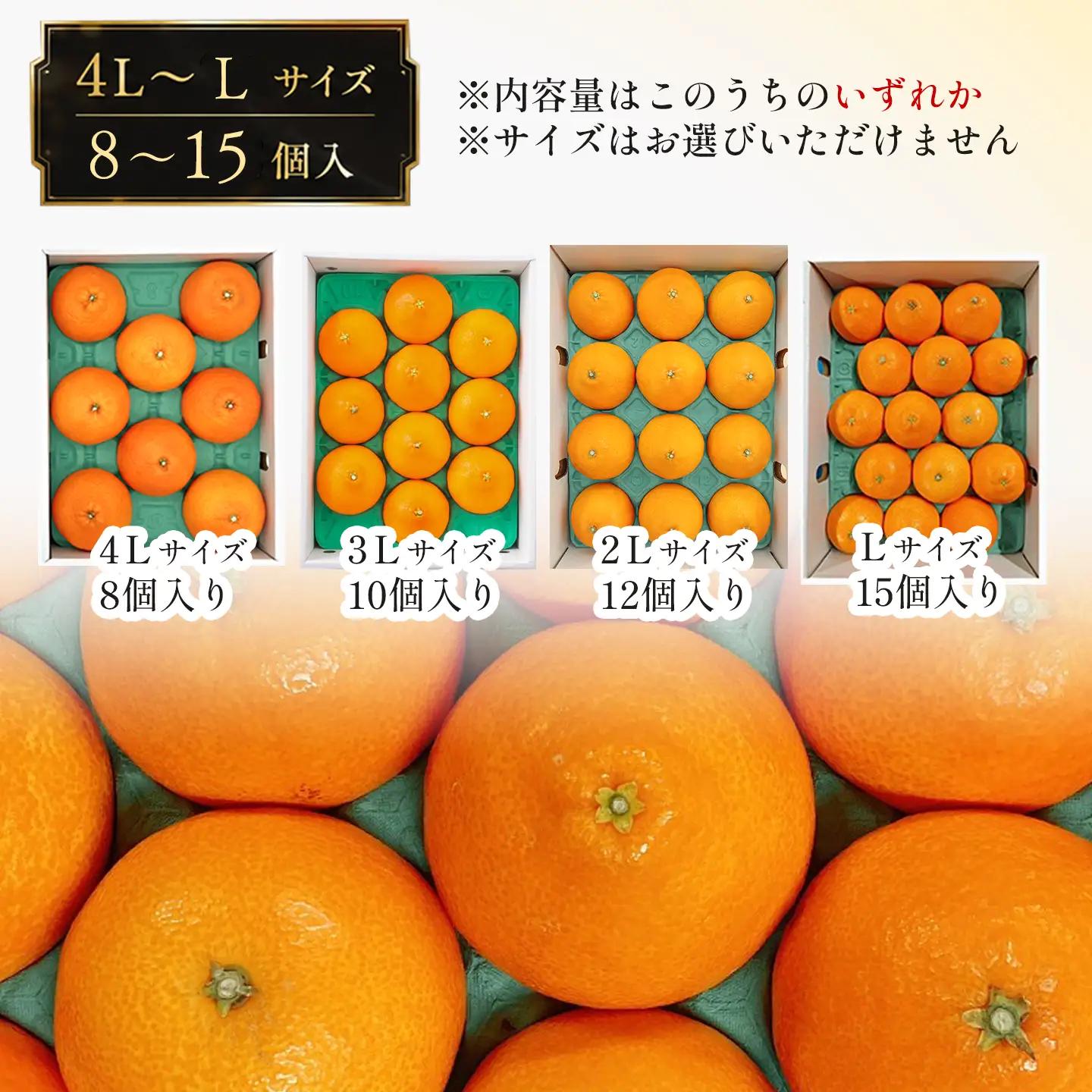 紅まどんな 秀品（8～15個入・4L～Lサイズ）まどんな【JA周桑】