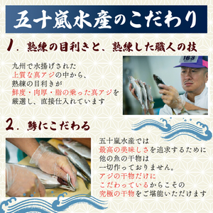 訳あり アジ 干物 約5kg  国産 真アジ 鯵 沼津 アジ