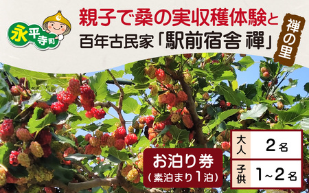 【期間限定6月~7月】親子で桑の実収穫体験と禅の里百年古民家「駅前宿舎禪」お泊り券/ フルーツ狩り 北陸観光 福井観光 おでかけ 家族旅行 永平寺 福井 北陸 [F-046001]