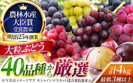 大粒品種詰め合わせ(シャインマスカット含まず)4.0サイズ