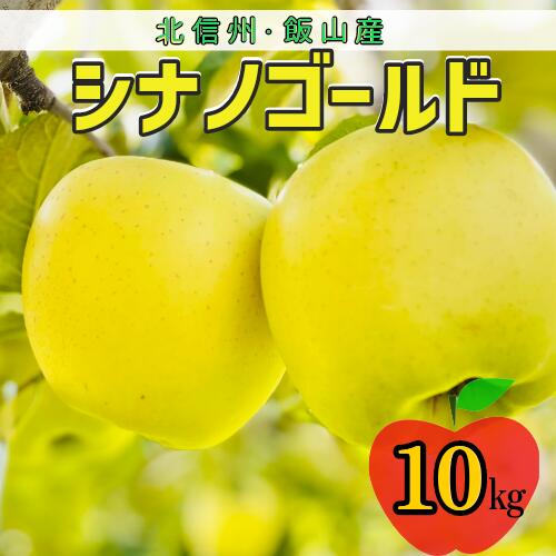 【ふるさと納税】＜先行予約＞シナノゴールド【約10kg(24〜36玉)】＜出荷開始：2025年10月下旬～11月中旬頃＞(7-A25-3)【 フルーツ りんご 長野県 飯山市 ギフト プレゼント 記念日 誕生日 父の日 母の日 敬老の日 記念品 シナノゴールド 就職内祝い 新築内祝い】
