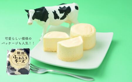 濃厚なのに優しい口当たり『新潟ふわとろチーズ』 9個入り 1箱 レアチーズとスフレチーズケーキのいいとこどりの美味しさ 優しい味わい ギフトにもおすすめ 新潟県 糸魚川市 ナカシマ 新感覚のチーズケー