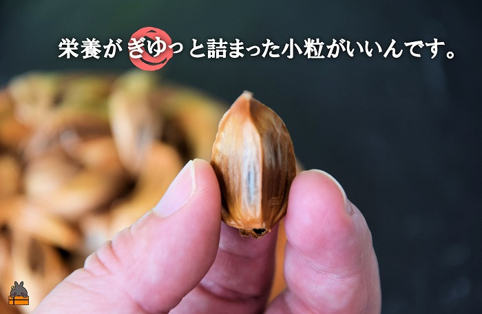 徳之島産にこだわり、旨味がぎゅっと詰まった自家栽培ニンニクを使用しています。（1日2粒）