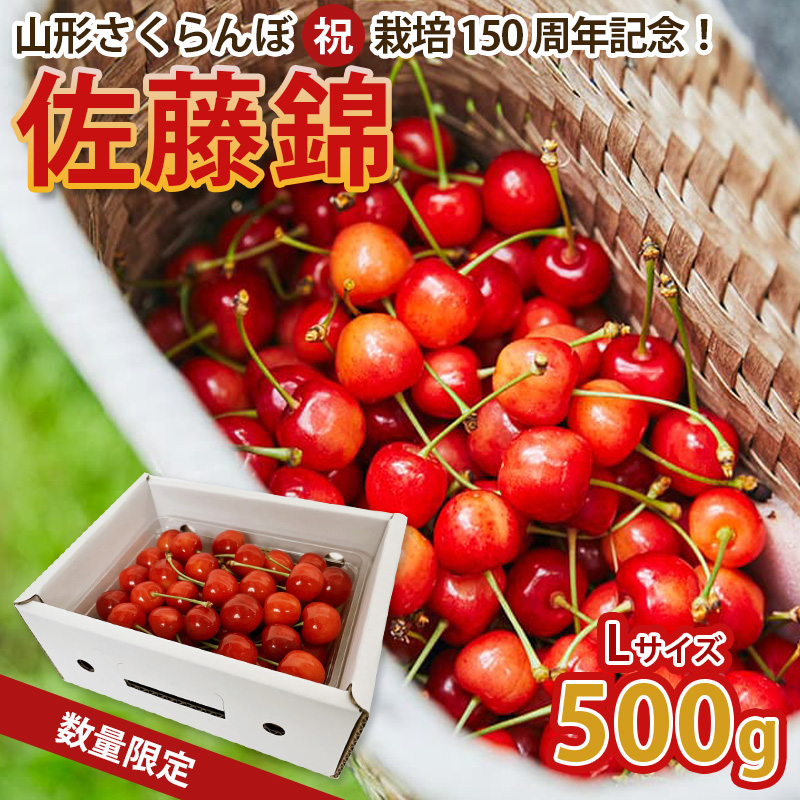 山形さくらんぼ (祝)栽培150周年記念！佐藤錦 500g L玉 数量限定！【令和8年産先行予約】FS25-068