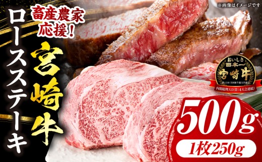 【畜産農家応援】宮崎牛 ロースステーキ 2枚 合計500g 宮崎牛 牛肉 肉 ロース ロースステーキ  内閣総理大臣賞 プレゼント 贈答 贈り物 ギフト