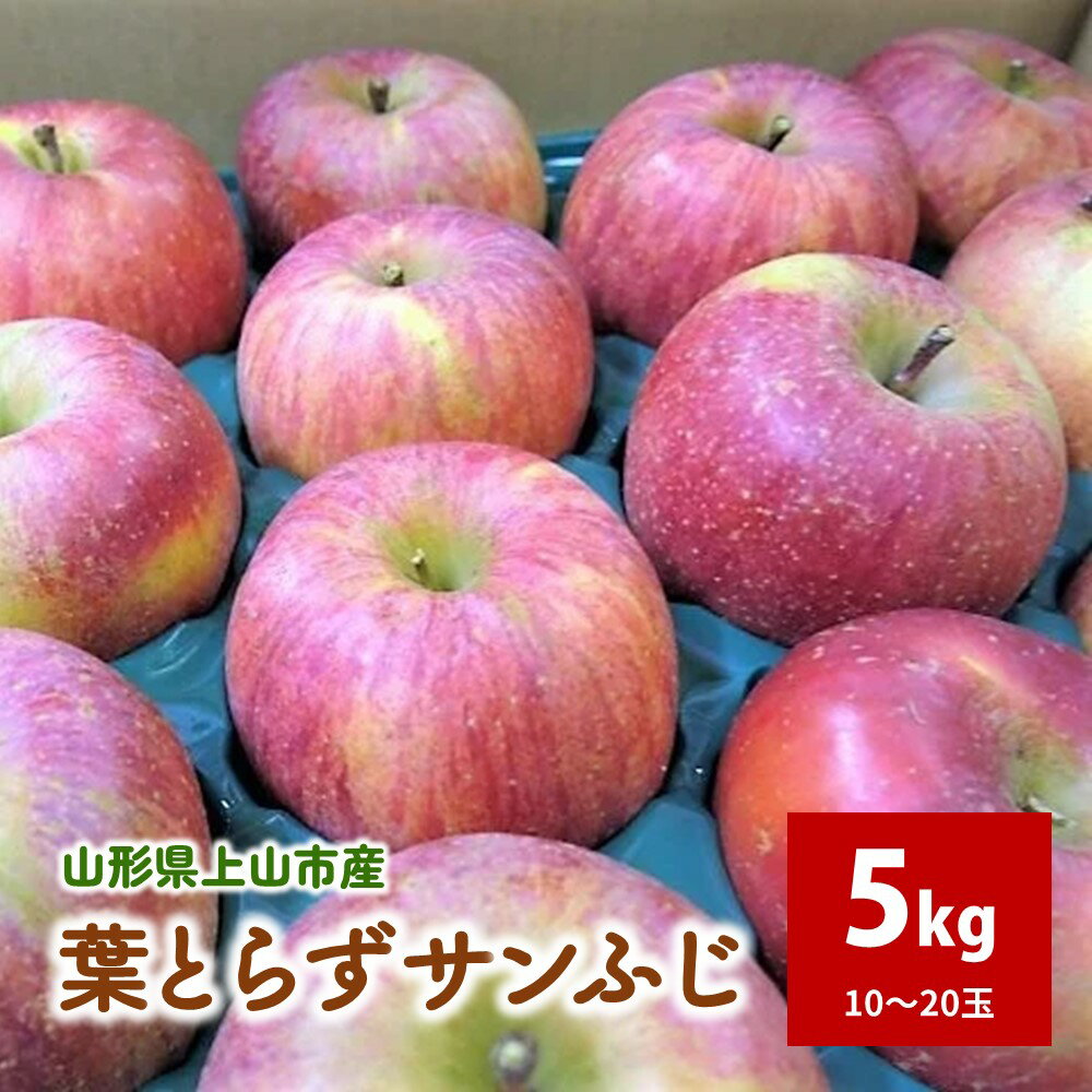 【ふるさと納税】【2027年1月～発送】 りんご （ 葉とらず サンふじ ） 5kg ご家庭用 フルーツ 山形県 上山市 0075-2626