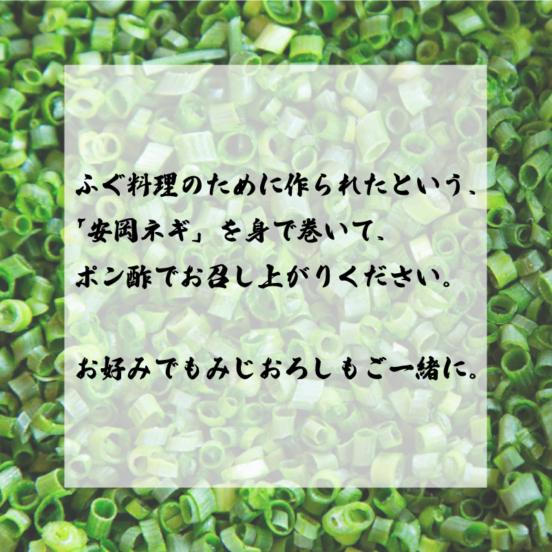 とらふぐ刺身 皮 3人前 薬味セット 冷蔵 【配送指定日必須】