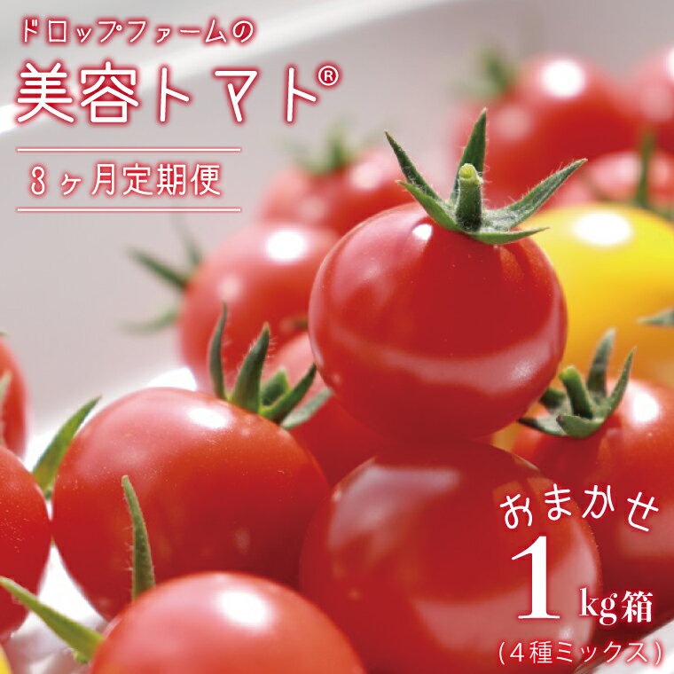 【ふるさと納税】【3ヶ月定期便】【11月～6月発送】ドロップファームの美容トマトおまかせ1kg箱(4種ミックス)【とまと フルーツトマト 野菜ソムリエ 栄養士 アイコ イエローアイコ 小鈴 フルティカ 野菜 フレッシュ 水戸市 茨城県】（CK-103）