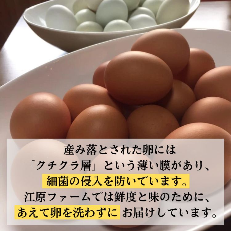 【定期便12か月】 江原ファーム　地養卵＆アローカナハーフセット（計20個）｜卵 たまご タマゴ 生みたて 産みたて 新鮮 濃厚 健康 赤玉 青い卵 産地直送_AG27