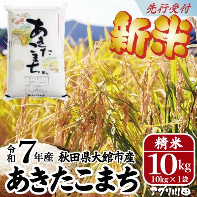 ふるさと納税 大館市  【新米先行受付】令和7年産ホタルが舞う清らかな環境で育ったあきたこまち10kg(10kg×1袋)