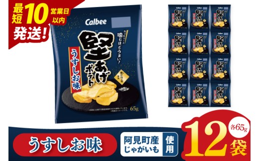 【10営業日以内に出荷】カルビー 堅あげポテト うすしお味（65g） 12個｜Calbee お菓子 菓子 おやつ おかし ぽてち ポテチ スナック おつまみ ジャガイモ じゃがいも（93-10）