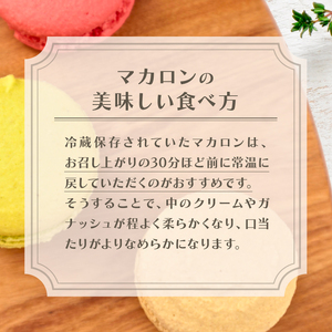 マカロン 8個入り 冷凍 季節 フルーツ フレーバー ラズベリー レモン カシス マロン チョコレート チョコ ピスタチオ アーモンド オレンジ パッションフルーツ コーヒー ティータイム カラフル 