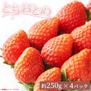 【ふるさと納税】【先行受付】とちおとめ 約250g×4パック 計約1kg〔P-219〕 | いちご イチゴ 苺 フルーツ 果物 デザート ストロベリー 那須 栃木県 那須町 ※2025年1月中旬頃より順次発送予定