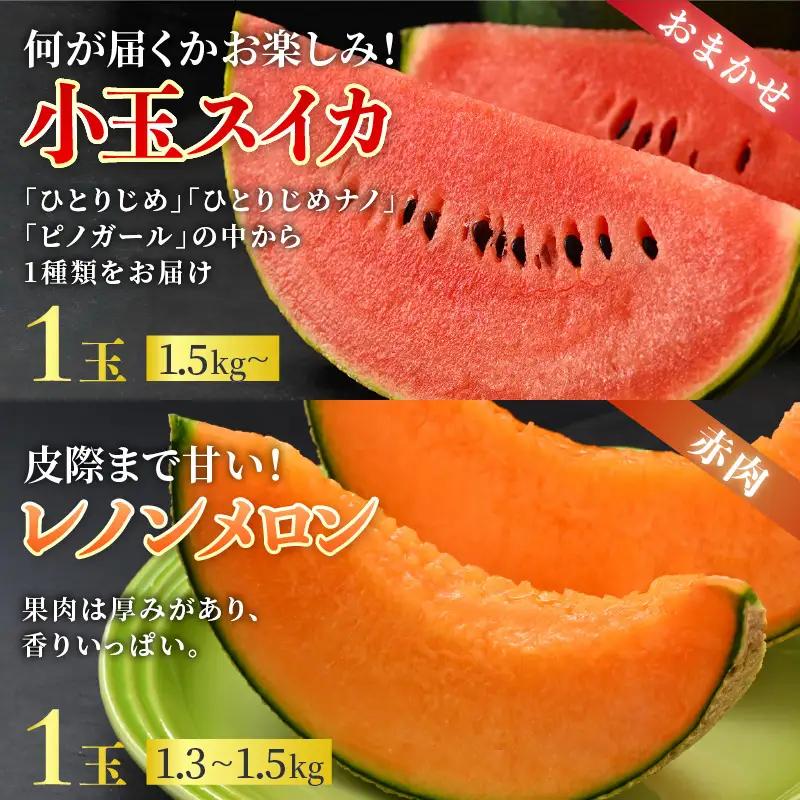 【先行予約】【秀品】佐藤農園の小玉スイカとレノンメロンのセット 計2玉 / 農家直送 有機肥料 低農薬 すいか フルーツ 果物 くだもの 野菜 赤い食べ物 甘い 贈答 旬 夏 ※2027年6月中旬～7