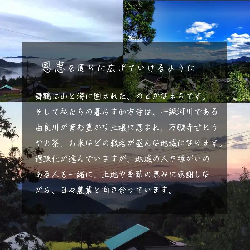 えごま油 無農薬 低温圧搾 110g×4本 オイル
