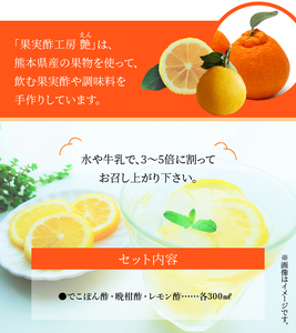 果実酢セットA _U34-0007_1