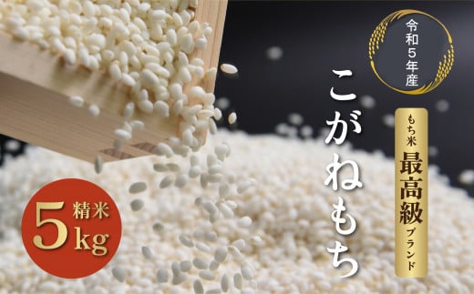 令和5年度産会津喜多方産こがねもち5kg×1袋