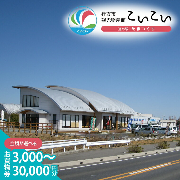 【ふるさと納税】行方市観光物産館「こいこい」お買物券
