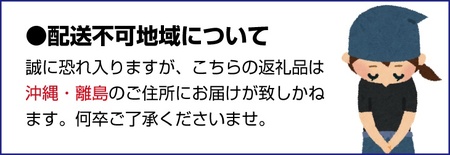 【先行予約】【秋の美味】和歌山の濃厚 平たねなし柿 約7.5kg  ※2025年10月上旬～10月下旬頃に順次発送 ※着日指定不可【ard058A】