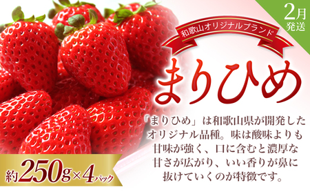 【2・7・9月 全3回】紀州和歌山産旬のフルーツセット（いちご・桃・ピオーネ）【UT95】