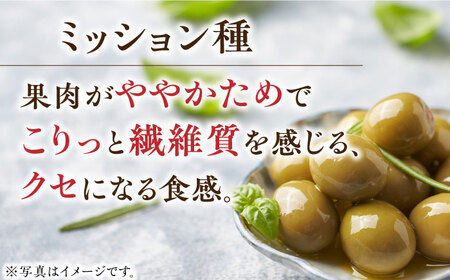 希少な国産オイル！オリーブ塩水漬けセット マンザニロ種＆ミッション種 各2個（パウチタイプ） ギフト オリーブ  塩漬け サラダ 簡単 レシピ 広島県産 江田島市/瀬戸内いとなみ舎合同会社[XBB01