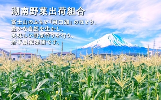 とうもろこし イエロー ＆ ホワイト 2種 食べ比べ 恵味ゴールド 白い恵味 400g以上 各6本 計12本 野菜 おやつ 旬 産地直送 送料無料 湖南野菜出荷組合 山梨県 富士河口湖町 FEM009