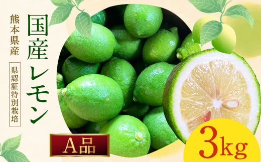 グリーンレモン A品 約3kg （県認証特別栽培） 国産 柑橘 果物 フルーツ【2025年8月-11月上旬発送】