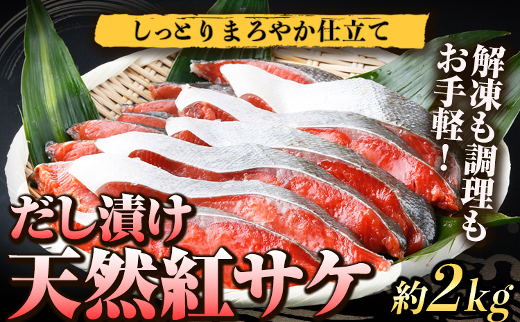 和歌山魚鶴仕込の天然紅サケ切身約2kg 株式会社魚鶴商店《30日以内に出荷予定(土日祝除く)》 和歌山県 日高町 鮭 サケ さけ しゃけ(F-4)