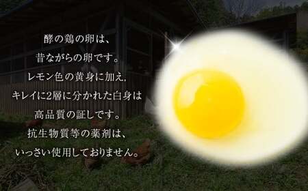 【6ヶ月定期便】iTo farm 酵の鶏 20個×6ヶ月お届け  鶏の卵 たまご 卵 玉子 タマゴ 鶏卵 オムレツ 卵かけご飯 朝食 料理 たまご焼き 福岡県 うきは市