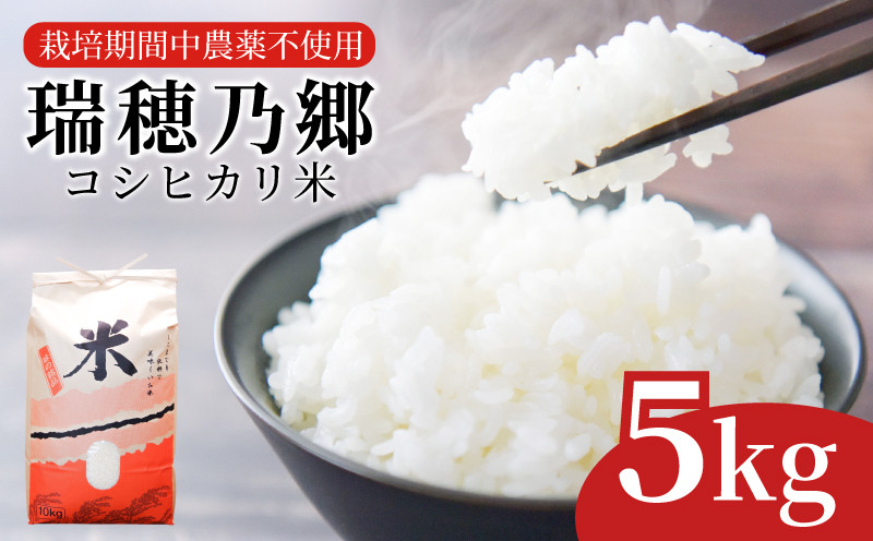 
米 コシヒカリ 5㎏ 令和5年産 瑞穂乃郷コシヒカリ米 栽培期間中農薬不使用 ｜ 四国 徳島県 小松島 白米 ふるさと納税 精米 白米 おいしい こめ おこめ ごはん 国産 ふるさと ランキング 人気 卵かけご飯 海苔 鮭 おにぎり 朝ご飯
